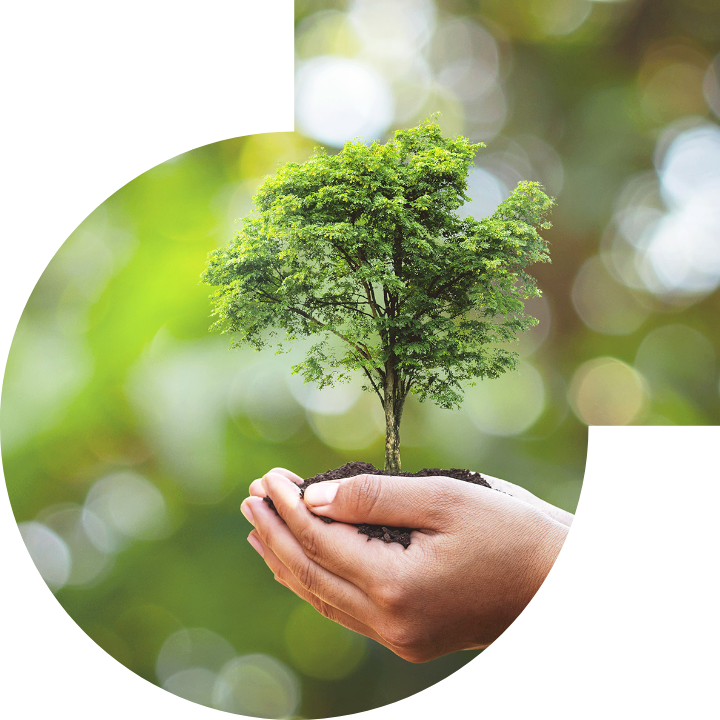 關懷人類、文化、環境與社會